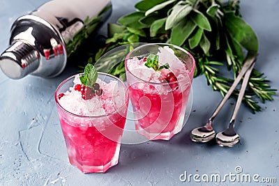 Two Glasses of Cocktail with Cranberry Vodka Mint Blue Background Cold Summer Beverage Shaker Stock Photo