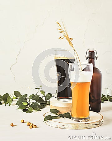 Two glasses of cold, light and dark, unfiltered beer, bottle, pistachios and leaves on a white background Stock Photo