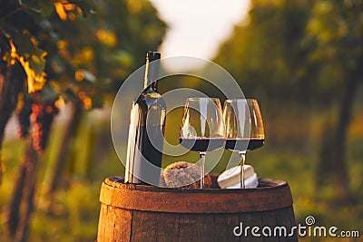 Two glasses full of red wine and a bottle in the vineyard Stock Photo