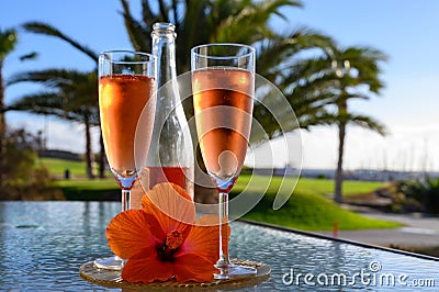 Two glasses of rose bubbles champagne or cava wine served outside on paradise island with palms and green grass Stock Photo