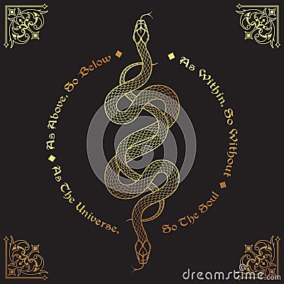 Two gold serpents intertwined. Inscription is a maxim in hermeticism and sacred geometry. As above, so below. Tattoo, poster or Vector Illustration