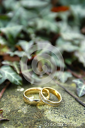 Two gold wedding rings Stock Photo