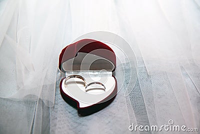 Two gold wedding rings in a case Stock Photo
