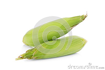Two green ear corns isolated on white Stock Photo