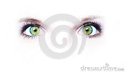 Two green eyes Stock Photo