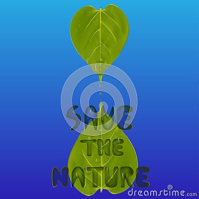 Two green leaves with water drops and wordings save the nature, environment concept Vector Illustration