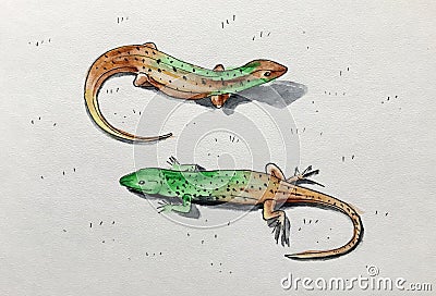 Two green lizards in watercolor Stock Photo