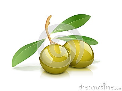 Two green olive with leaf Vector Illustration