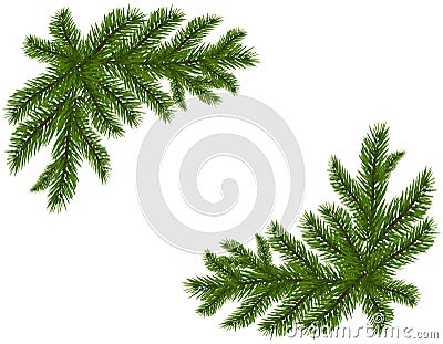Two green spruce branches realistic. Placed in the corners. Fir branches. Isolated on white background. Christmas Vector Illustration
