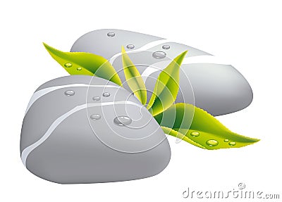 Two grey pebbles with fresh leaf. Vector Illustration