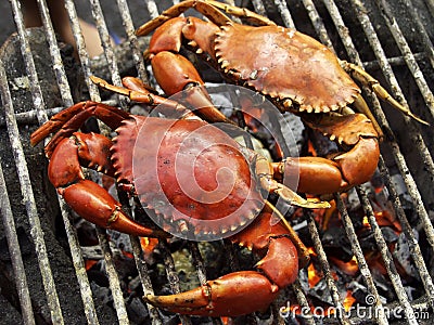 Two grilled crabs. Stock Photo