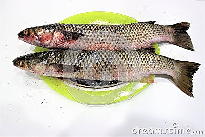 Two gutted, salted and peppered mullet are on a colored dish. The dish is on the white table. Marinating before frying. Stock Photo