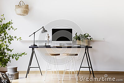 Two hairpin stools placed by black desk with metal lamp, fresh plant and mockup monitor in real photo of white living room interio Stock Photo