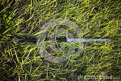 A two-handed sword lies in a tall green grass. The battlefield, after the battle. Crusade, medieval weapons. Stock Photo