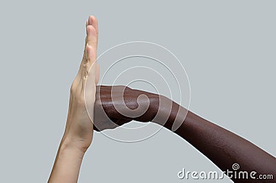 Two hands, black and white. A black fist strikes a white palm.The concept of inter-racial friendship and respect, the fight Stock Photo