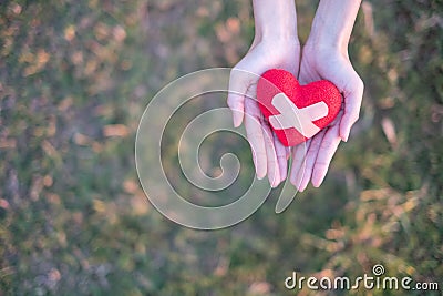 Two hands holding red heart with plaster with green grass background. Concept Give love Stock Photo