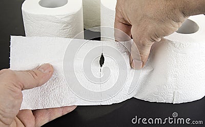 Two hands tear up toilet paper Stock Photo