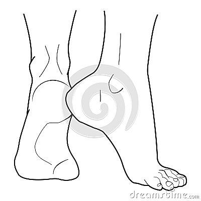 Two handsome feet. Vector Illustration