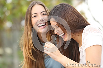 Two happy woman friends laughing Stock Photo