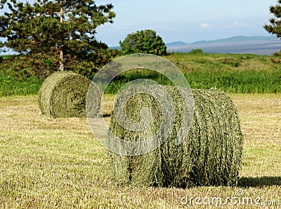 Two Hay Rolls in field Stock Photo