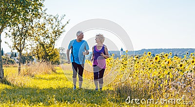 Two healthy senior people jogging on a country road in summer Stock Photo