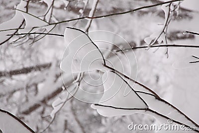 Two Hearts in the Snow Stock Photo