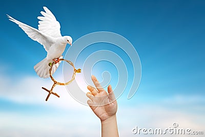 Two helping hand desire to dove holding branch in Venus symbol shape flying on blue sky Stock Photo