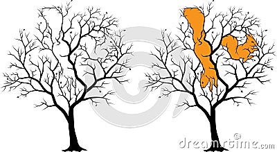 Two hidden squirrels on the tree, picture - riddle with solution. Vector Illustration