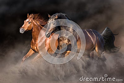 Two horse in desert storm Stock Photo