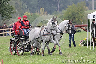 Two horses carriage Editorial Stock Photo