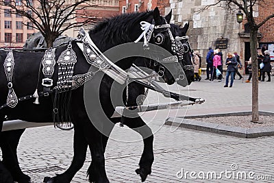 Two horses carriages at Old Town Main Square in Krakow, Poland, a gothic symbol of the city Editorial Stock Photo