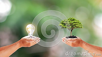 Two human hands holding little trees and energy-saving lamp on blurred green background. Stock Photo