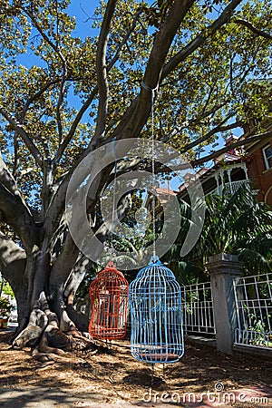 Two human-sized large bird cage seats hanging from Moreton Bay F Editorial Stock Photo