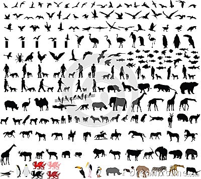 Two hundred animal vector illustrations Vector Illustration