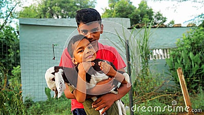 Cute children holding a goat lings in a farmland. Little kids caring for the goatling on the farm. farmland. Village life Stock Photo