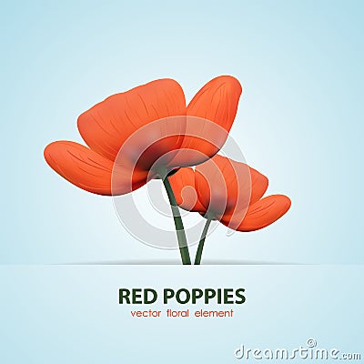 Two isolated poppy. Red flowers Vector Illustration