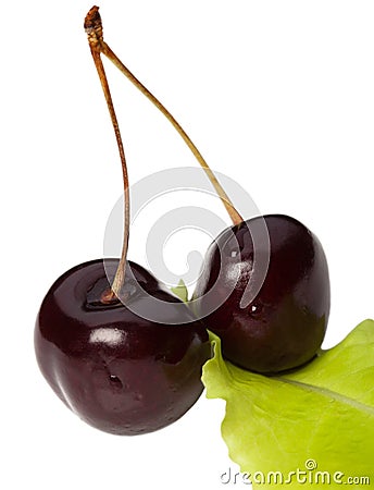 Two isolated red cherries Stock Photo