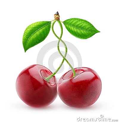 Two isolated sweet cherries with intertwined stems Stock Photo