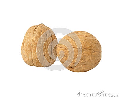 Two isolated walnuts on a white background Stock Photo