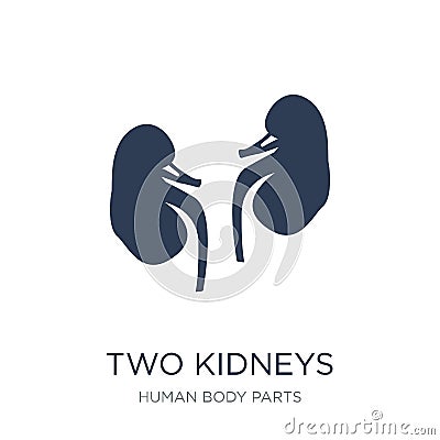 Two Kidneys icon. Trendy flat vector Two Kidneys icon on white b Vector Illustration