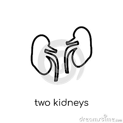 Two Kidneys icon. Trendy modern flat linear vector Two Kidneys i Vector Illustration