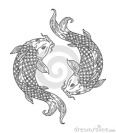 Two koi carps. Yin yang symbol. Vintage engraving monochrome illustration. Isolated on white Vector Illustration