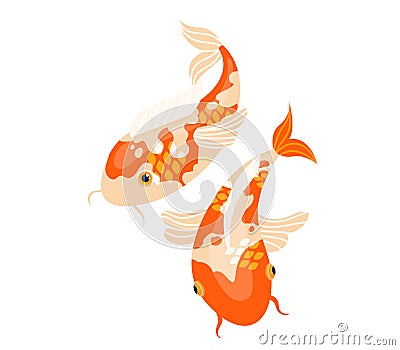 Two koi fish swimming, vibrant orange and white colors, Japanese carp in water. Oriental garden pond, peaceful and Vector Illustration