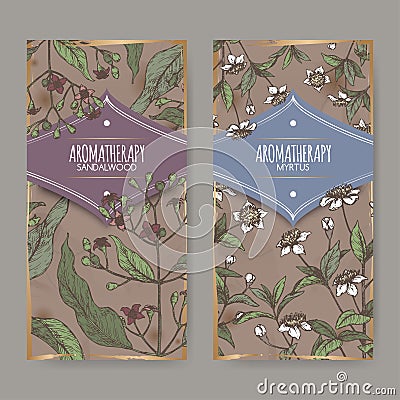 Two labels with Common myrtle aka Myrtus communis and Indian sandalwood aka Santalum album color sketch. Vector Illustration