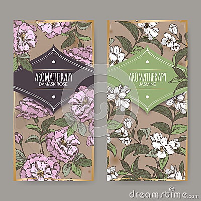 Two labels with Damask rose and jasmine color sketch. Vector Illustration