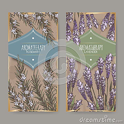 Two labels with lavender and rosemary color sketch. Vector Illustration