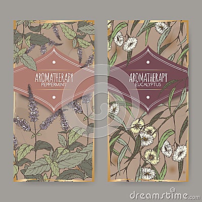 Two labels with Peppermint, Eucalyptus color sketch on vintage background. Vector Illustration