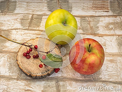 Two large apples and a sprig of wild small apples on a wooden saw. Stock Photo