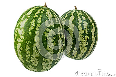 Two large striped watermelon on white background Stock Photo