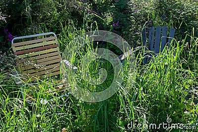 Two lawn chairs sit in an overgrown garden in the morning sun Stock Photo